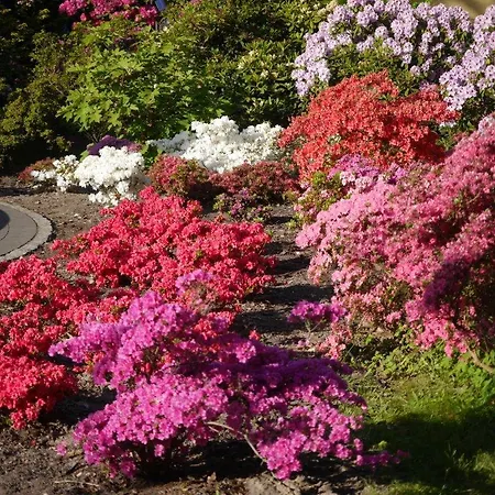 Διαμέρισμα Crosta Brava *