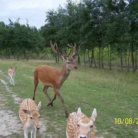 Crosta Brava Grossdubrau