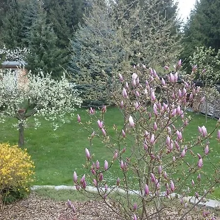 Διαμέρισμα Crosta Brava *