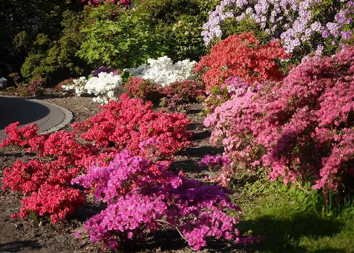 Διαμέρισμα Crosta Brava *