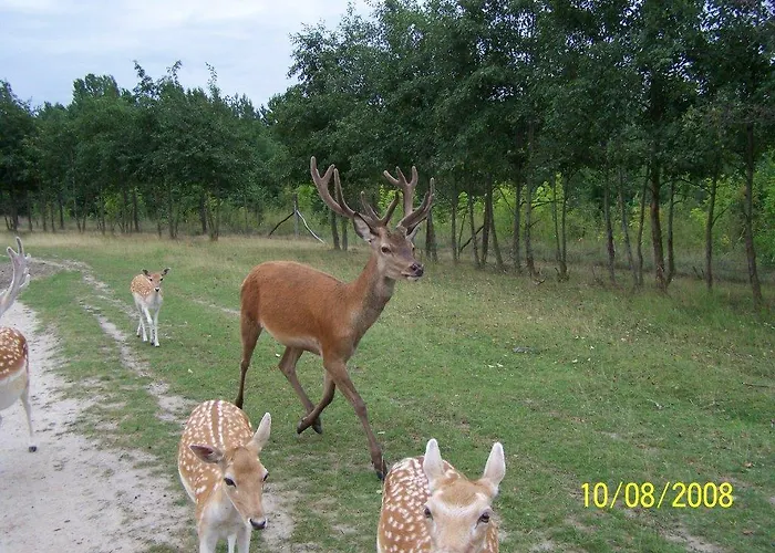 Crosta Brava Grossdubrau